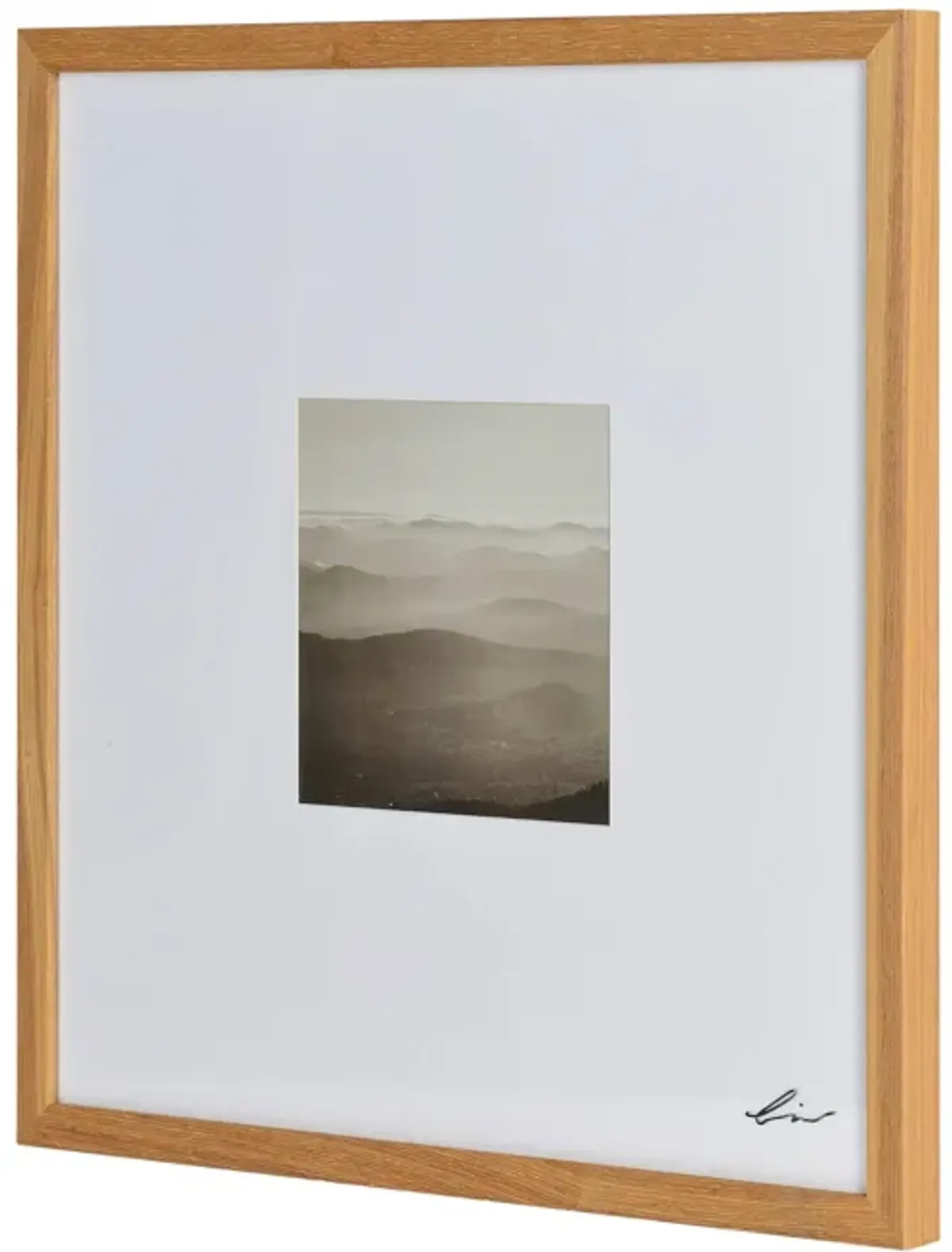 Torreys Rectangle Framed Wall Art