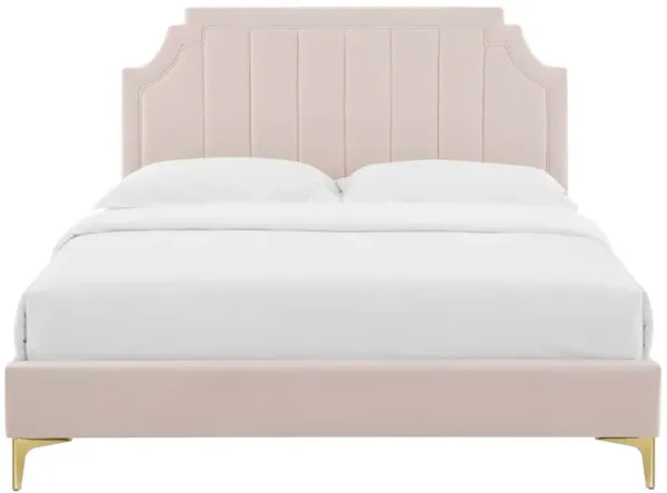 Sienna Performance Velvet Full Platform Bed