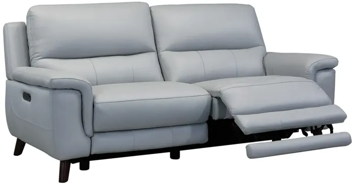 Lizette Contemporary Sofa in Dark Brown Wood Finish and Dove Gray Genuine Leather