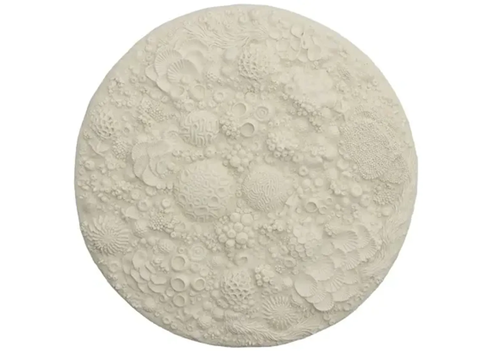 Coral Reef Wall Art, Round