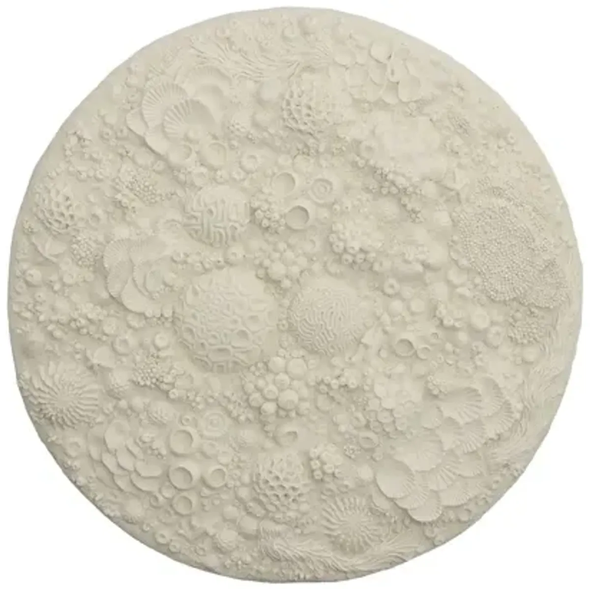 Coral Reef Wall Art, Round