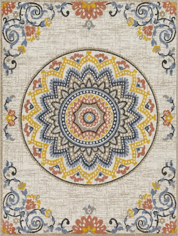 Delphi DEP-2304 5'3" x 7' Machine Woven Rug