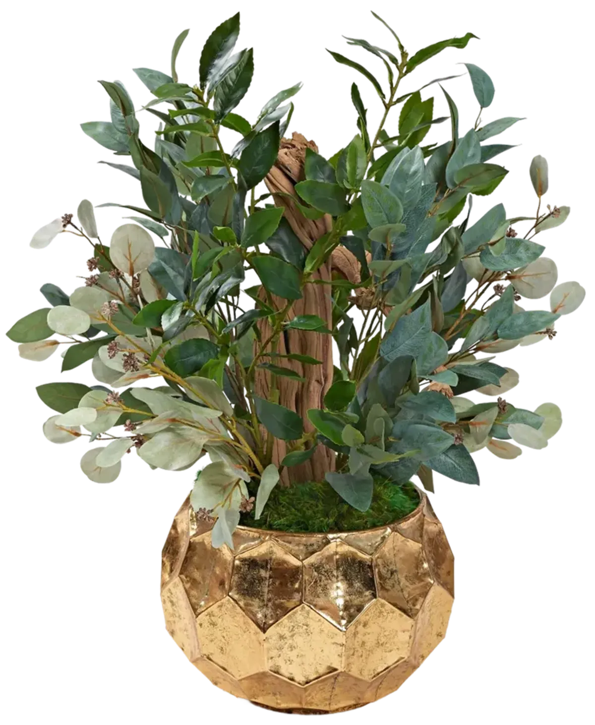 Ghostwood, Bay Leaf, & Eucalyptus in Short Brushed Gold Planter