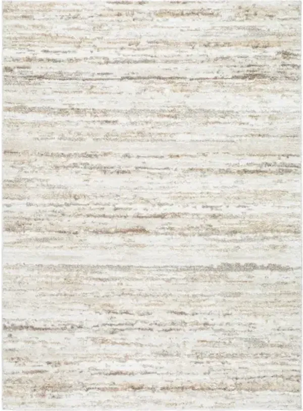 Andorra Plus ARP-2301 5'3" x 7'3" Machine Woven Rug