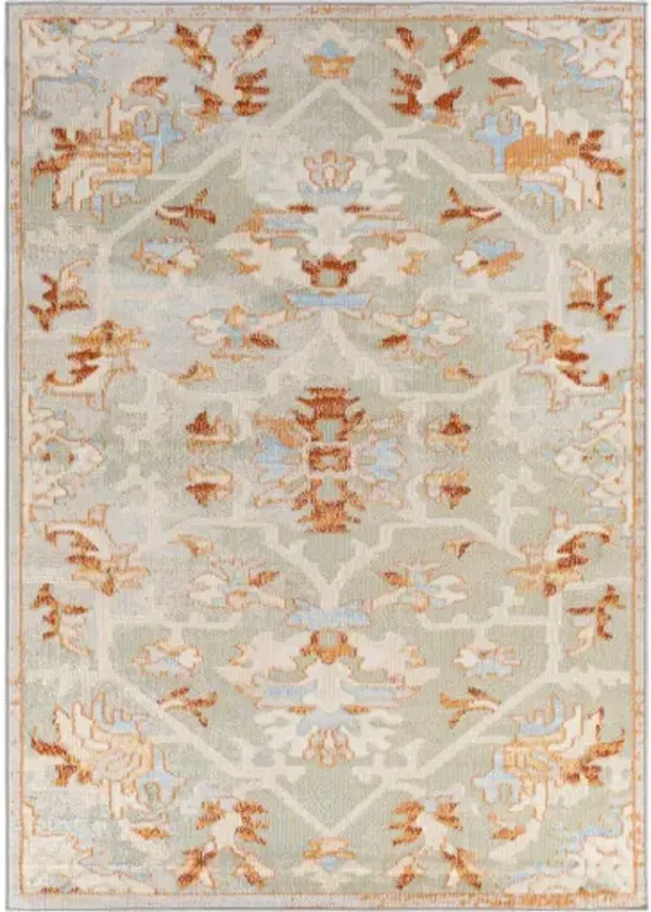 Pisa 6'7" x 9' Rug