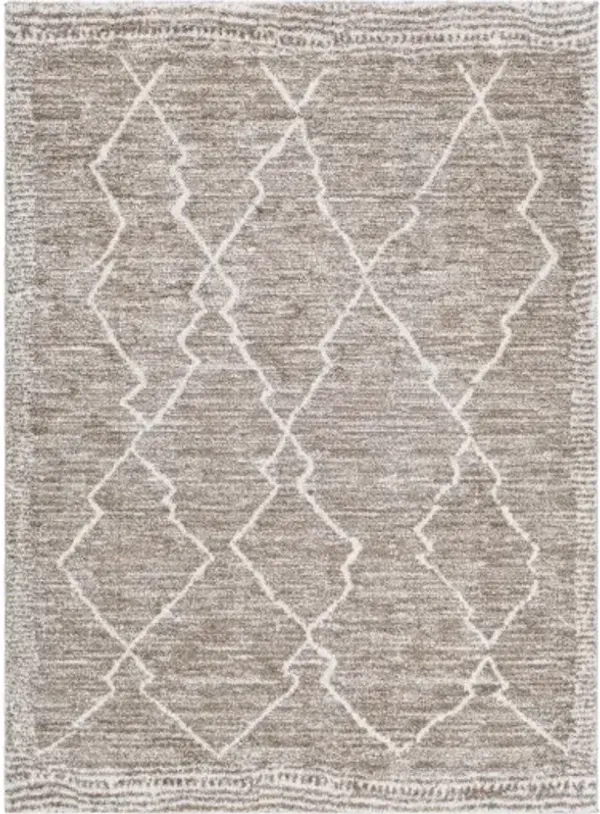Andorra 5'3" x 7'3" Rug