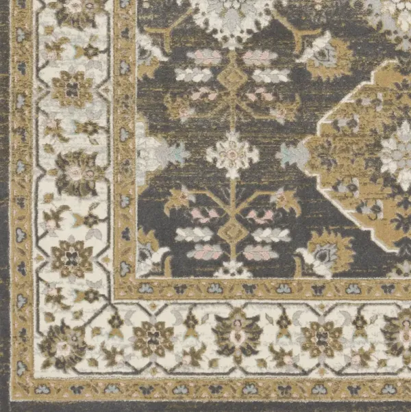 Dryden DDN-2311 2' x 3' Machine Woven Rug