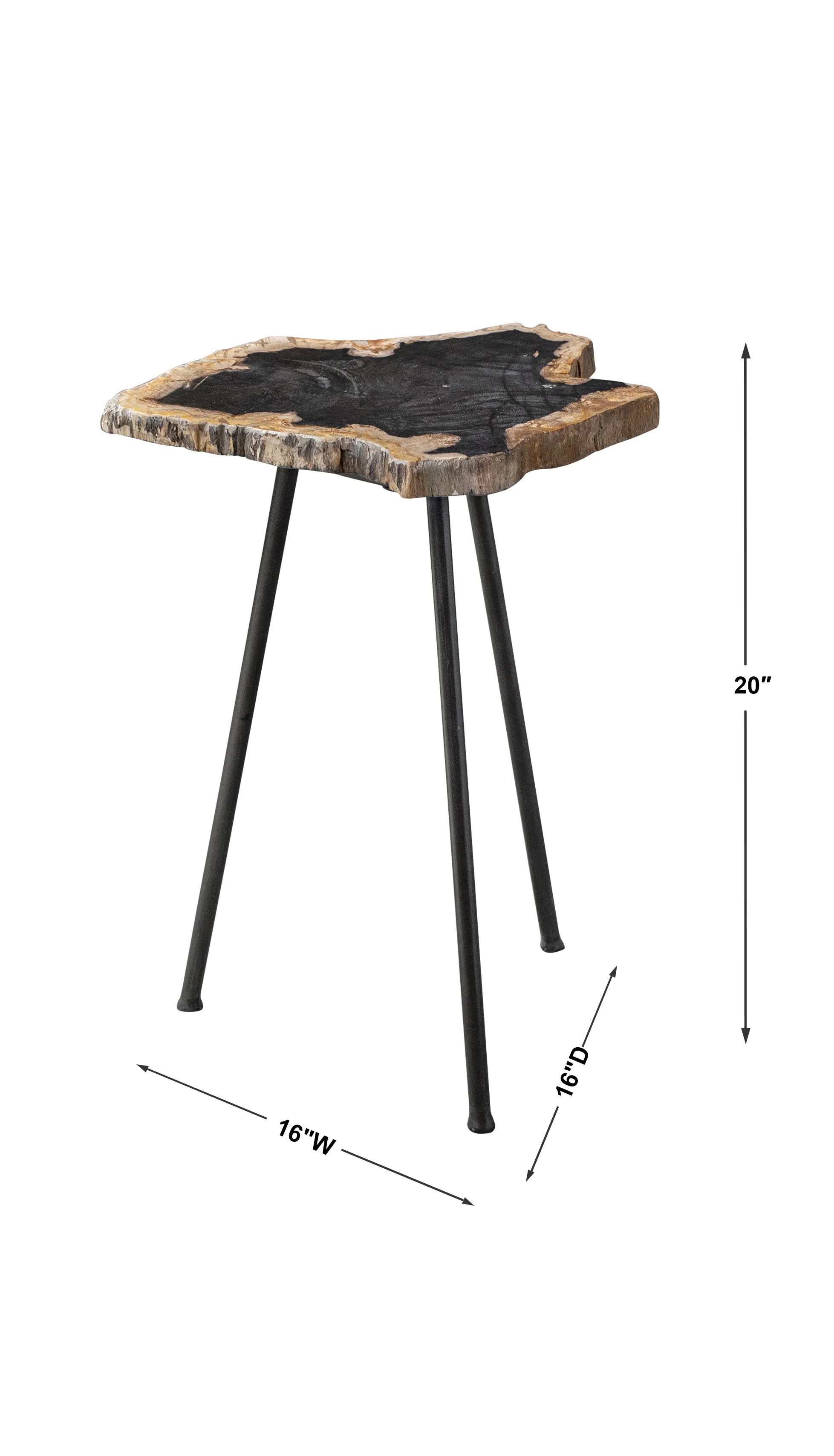 Mircea Petrified Wood Accent Table