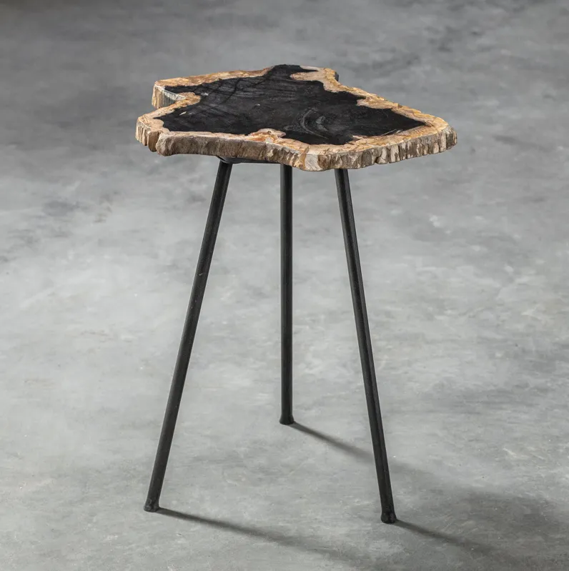 Mircea Petrified Wood Accent Table