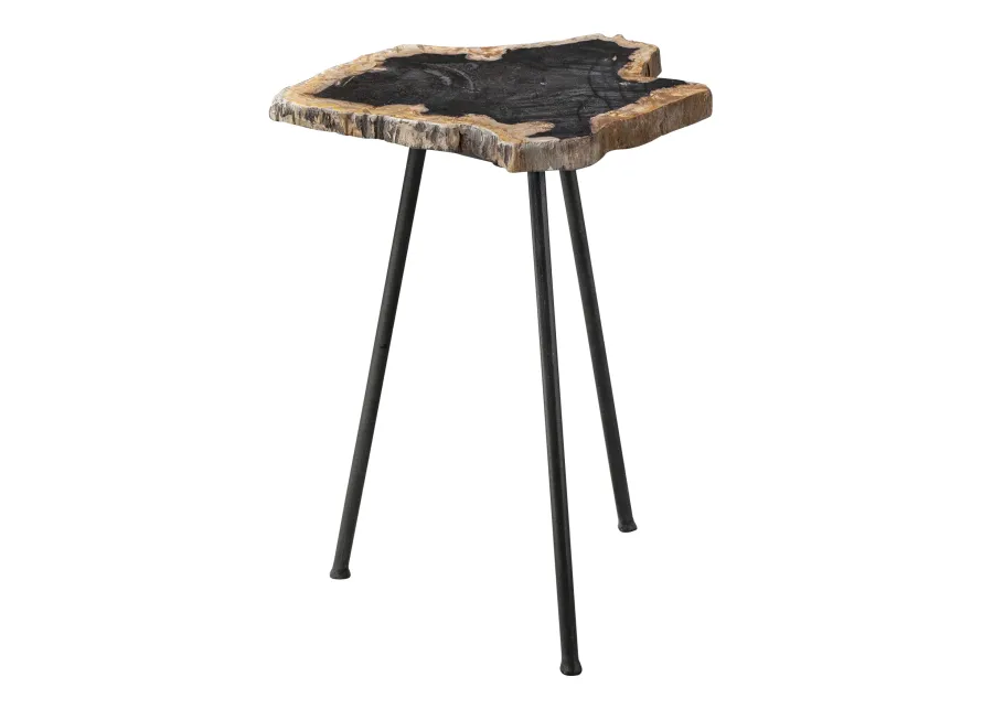 Mircea Petrified Wood Accent Table