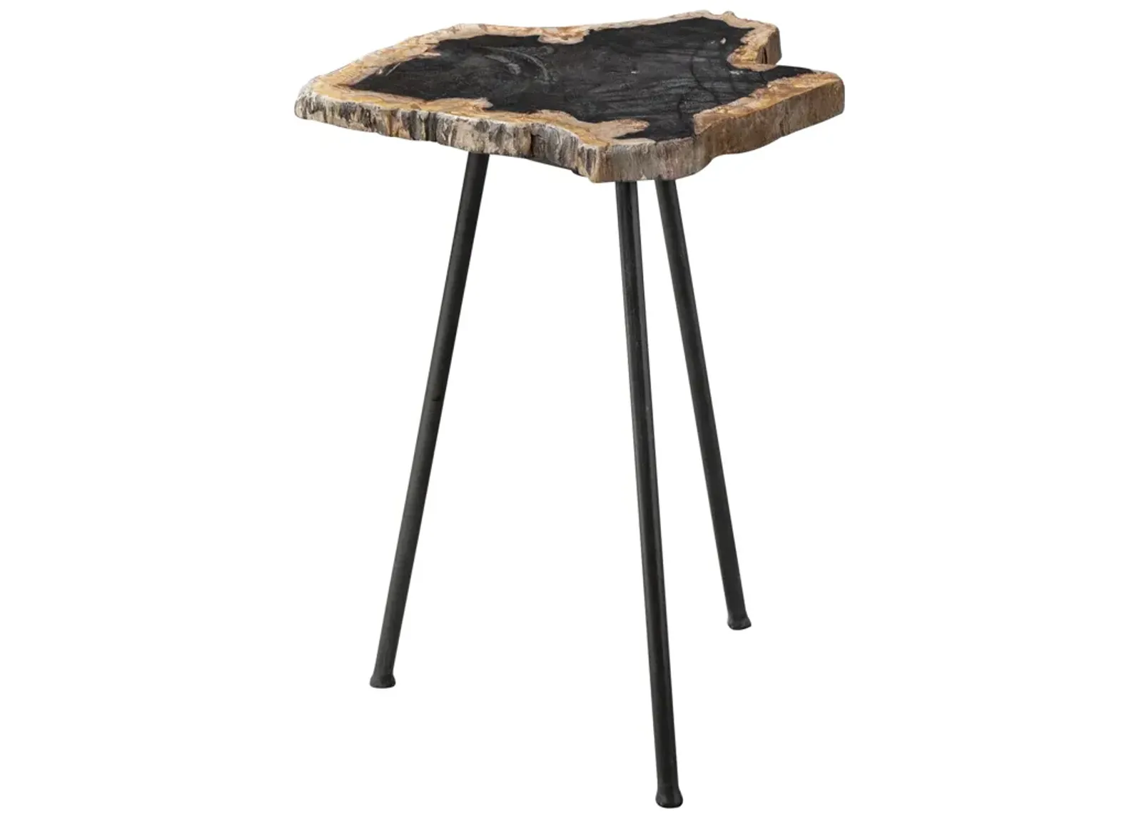 Mircea Petrified Wood Accent Table