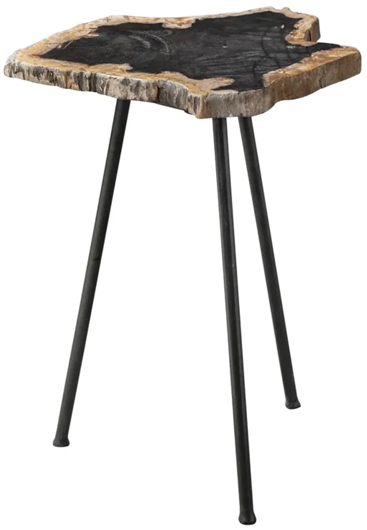 Mircea Petrified Wood Accent Table