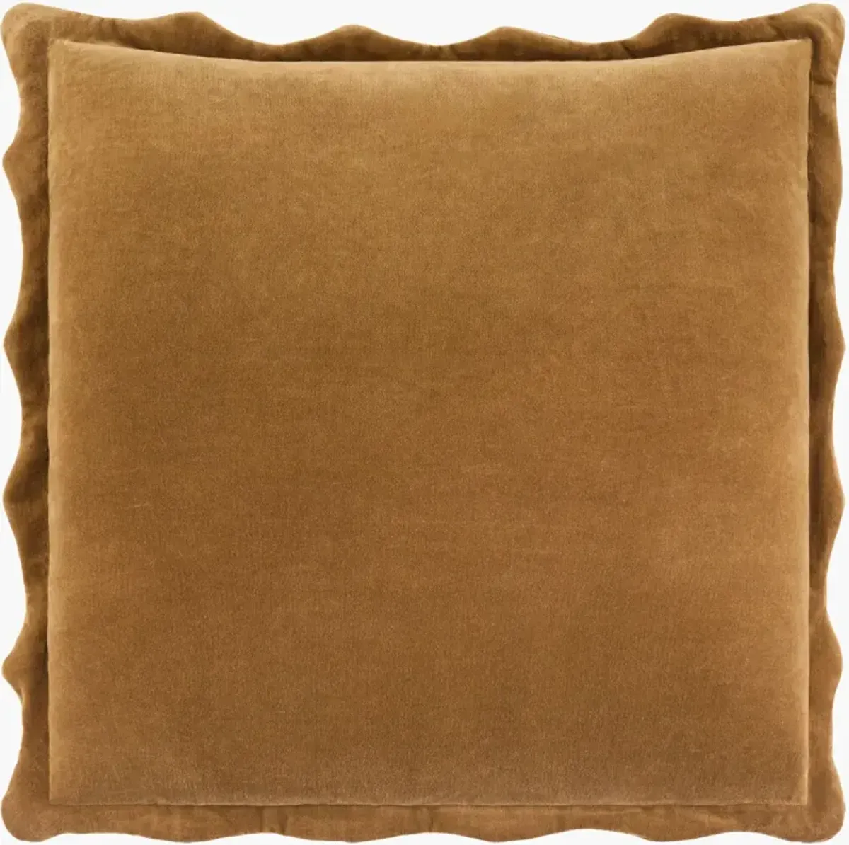 Effervescent 22"L x 22"W Accent Pillow
