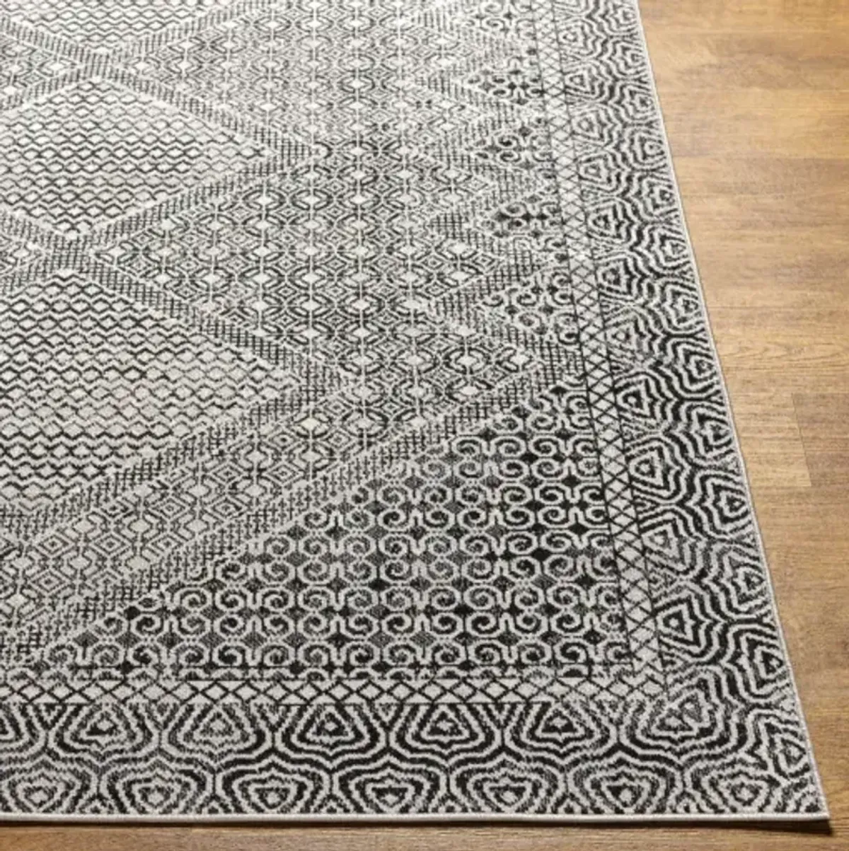 Lavadora LVR-2342 2'7" x 7'3" Rug