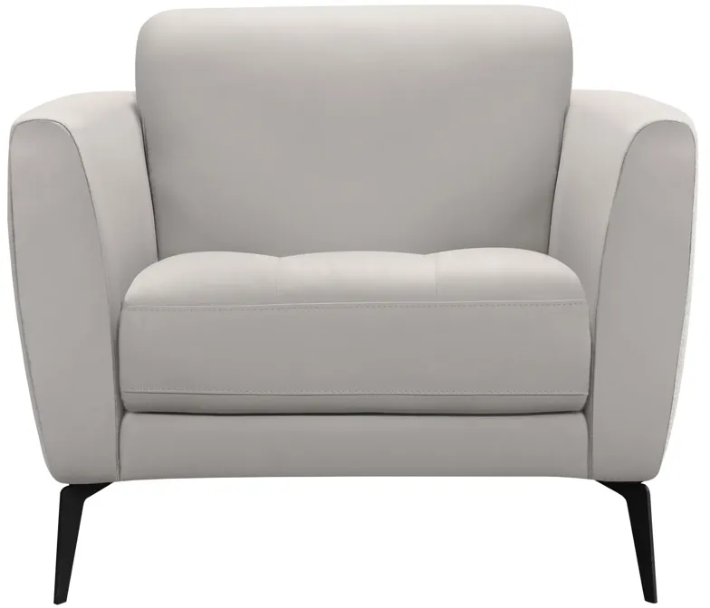 Hope Contemporary Chair in Genuine Dove Gray Leather with Black Metal Legs