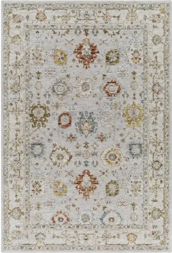 Reina REN-2307 2'7" x 7'3" Rug