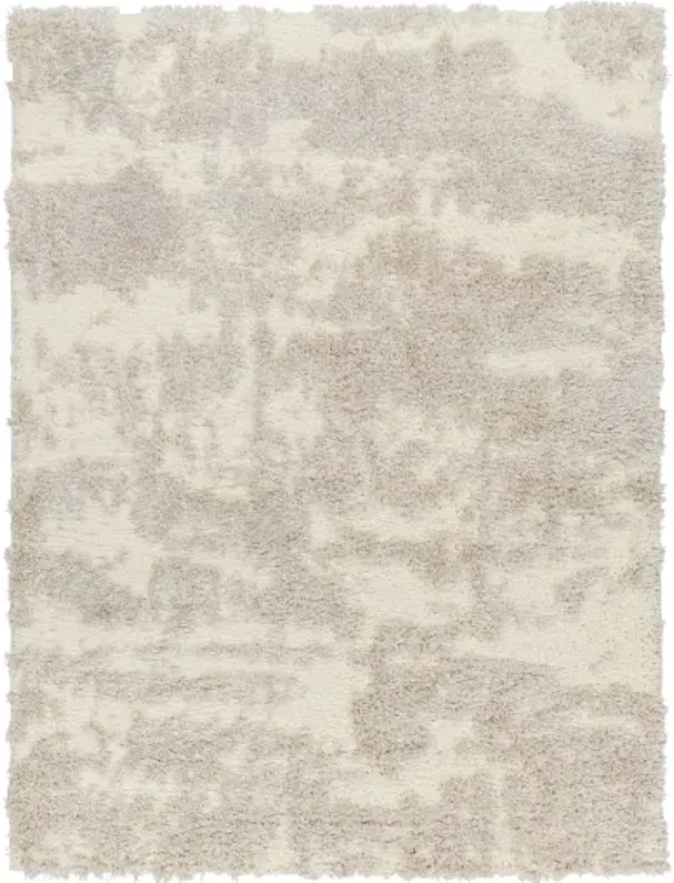 Everton Plus EVP-2300 5'3" x 7' Machine Woven Rug