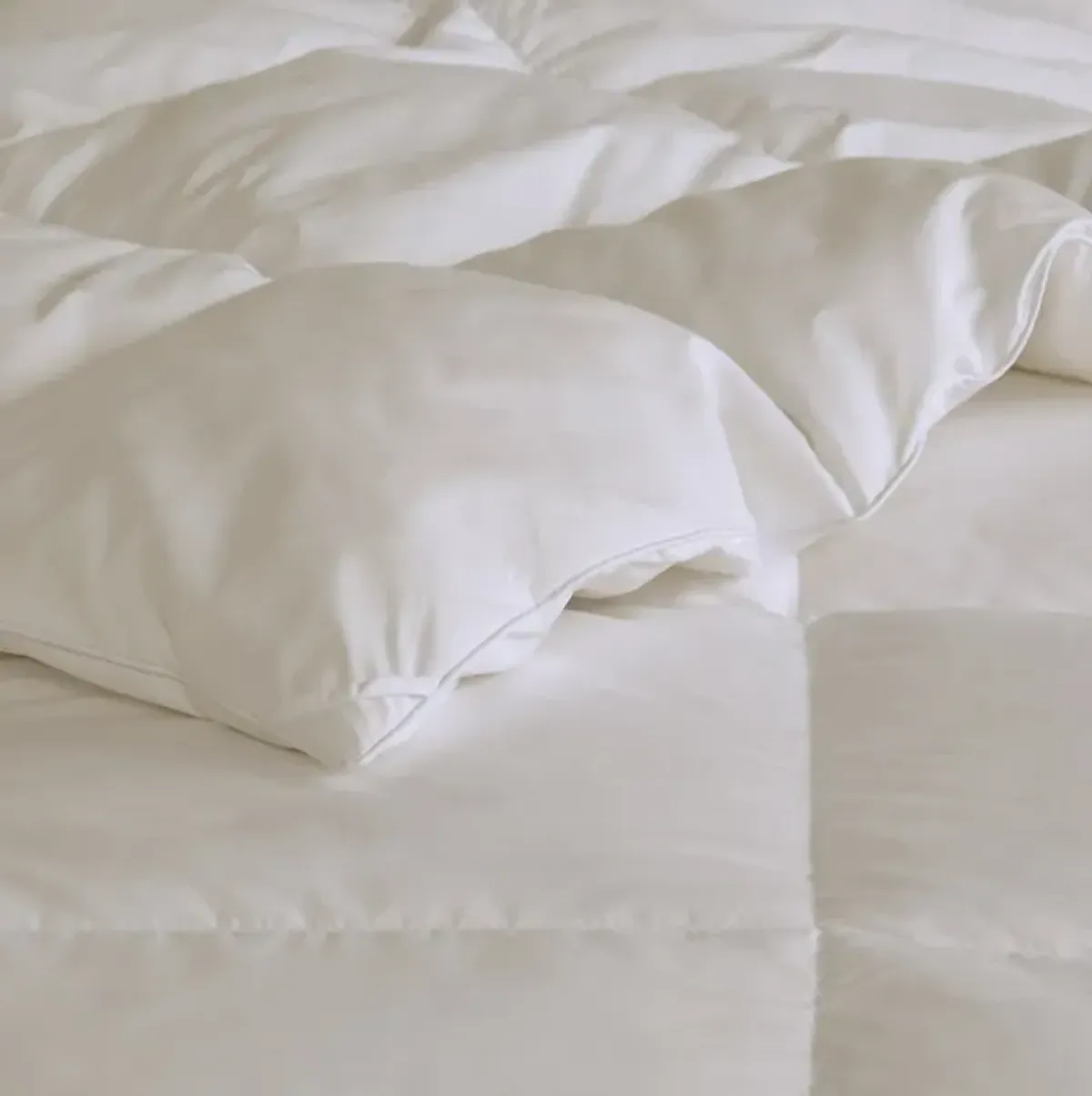 Heavy Warmth Goose Feather and Down Oversize Comforter