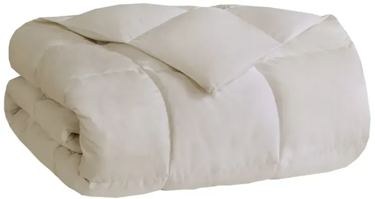 Heavy Warmth Goose Feather and Down Oversize Comforter