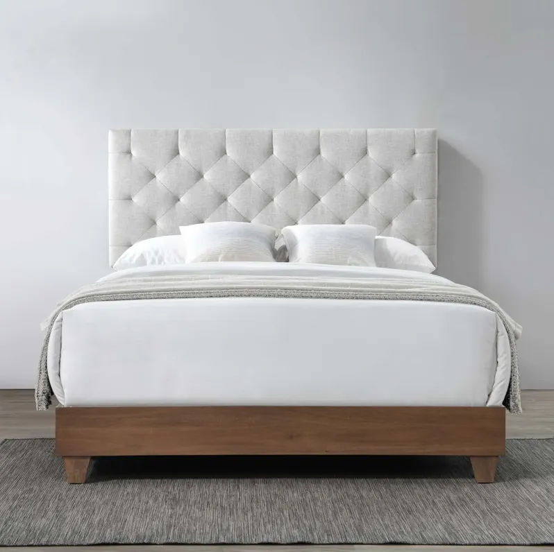 Rhiannon Diamond Tufted Upholstered Queen Bed