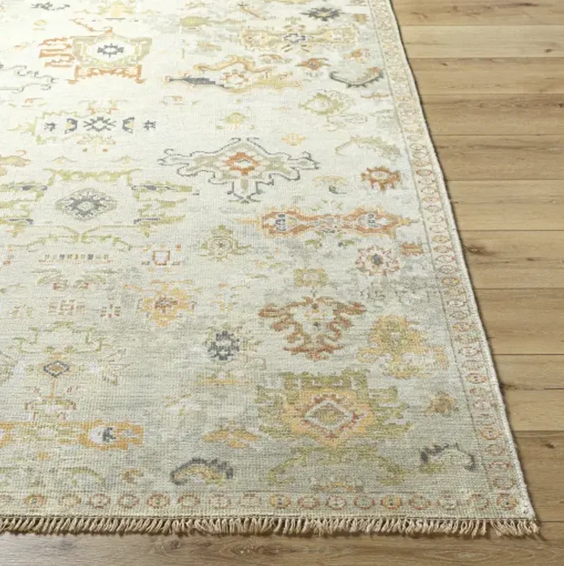 Shiraz SHZ-2301 10' x 14' Handmade Rug