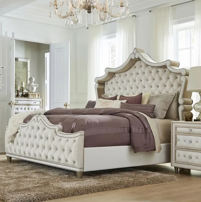 Antonella Upholstered Tufted Queen Bed Ivory and Camel