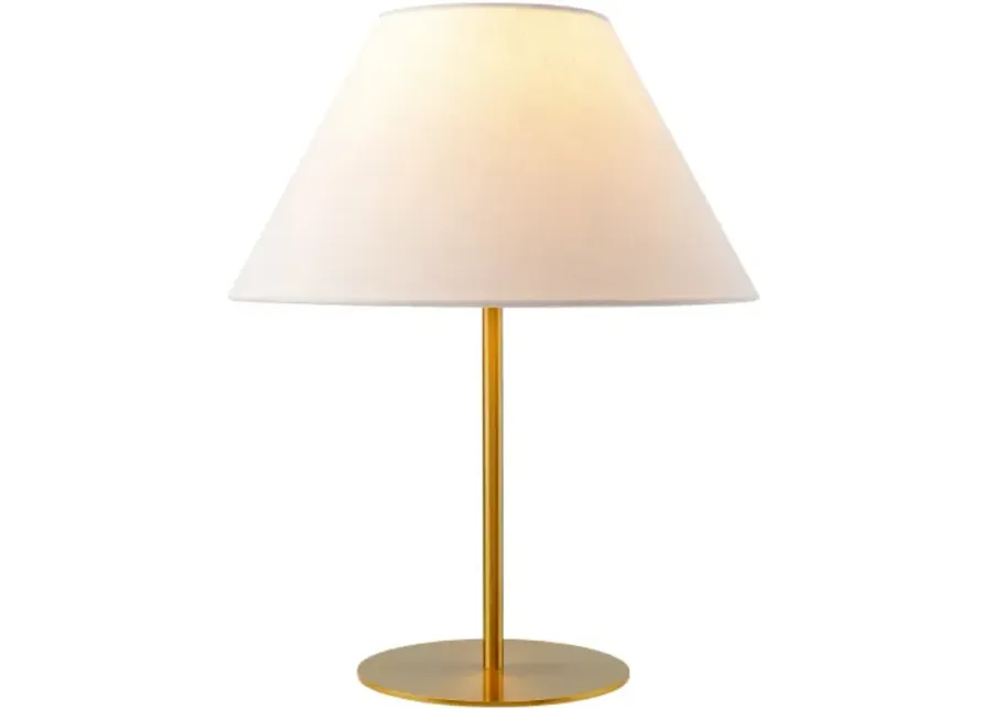 Damita DMT-001 20"H x 14"W x 14"D Accent Table Lamp