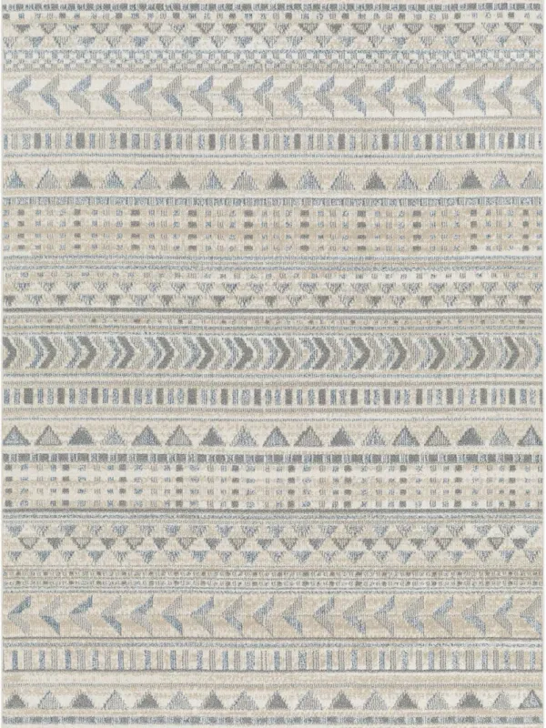 Santana SNN-2305 5'3" x 7' Machine Woven Rug