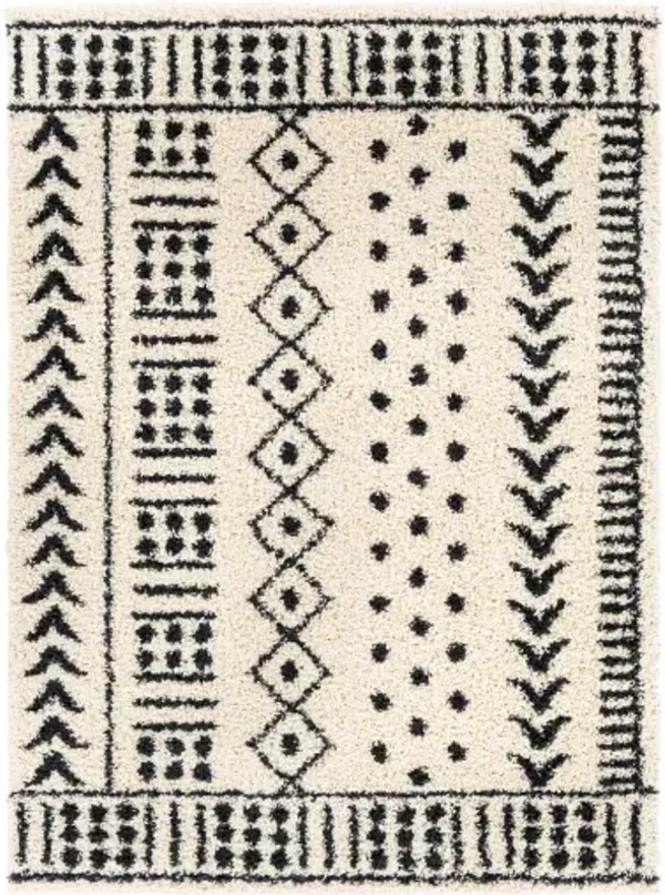 Beni shag 6'7" x 9' Rug