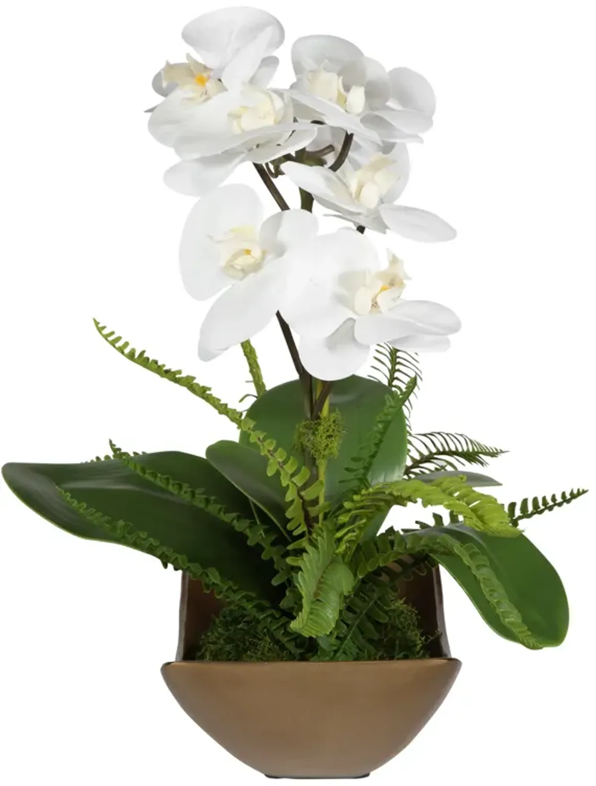 Transcend Orchid Centerpiece