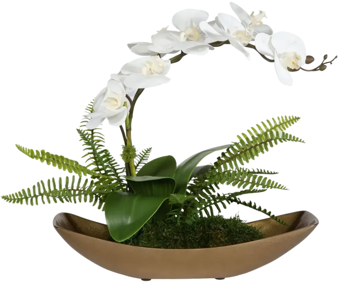 Transcend Orchid Centerpiece