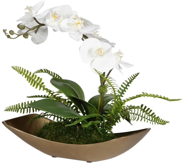 Transcend Orchid Centerpiece