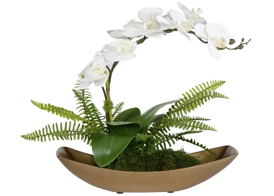 Transcend Orchid Centerpiece