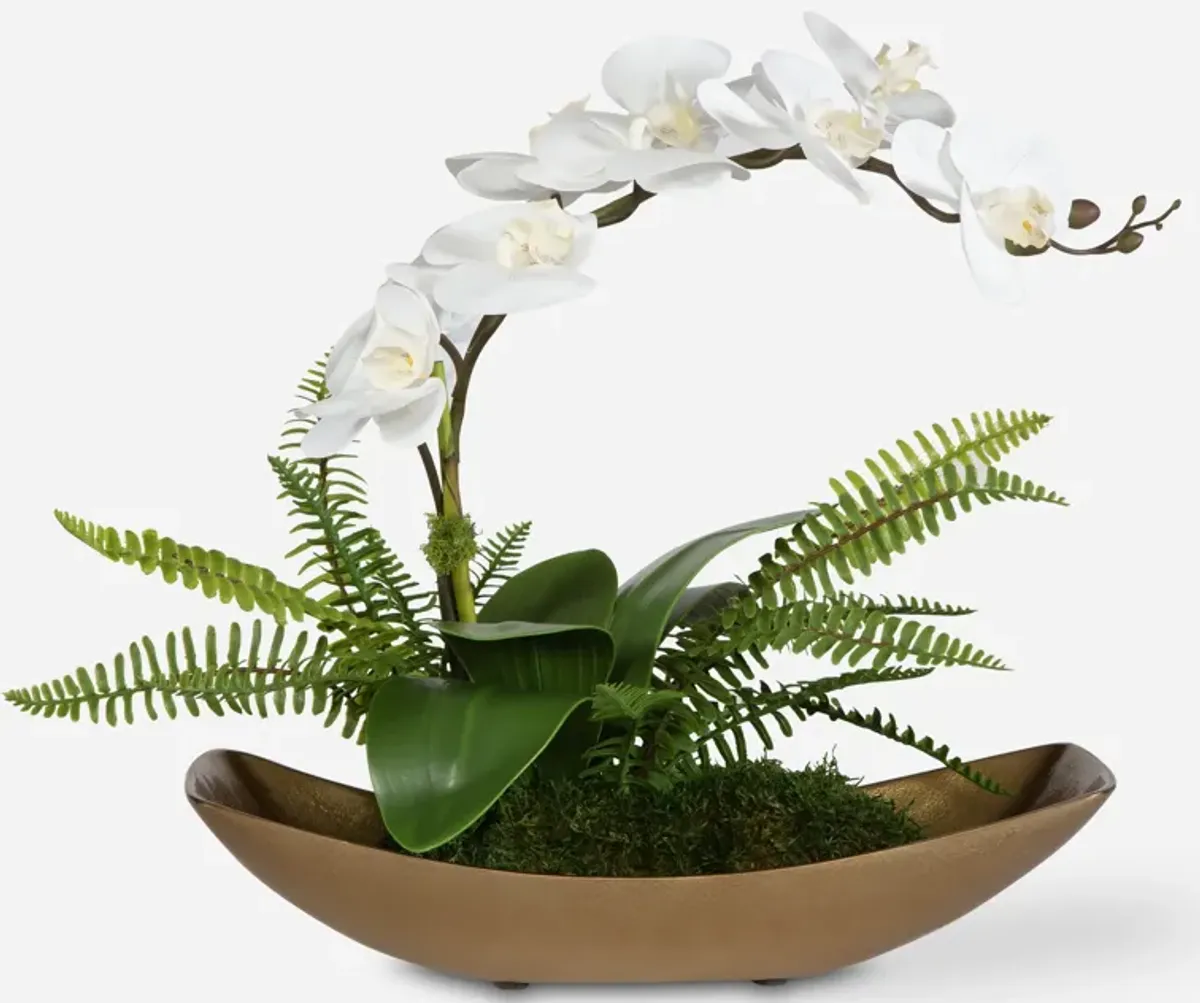 Transcend Orchid Centerpiece