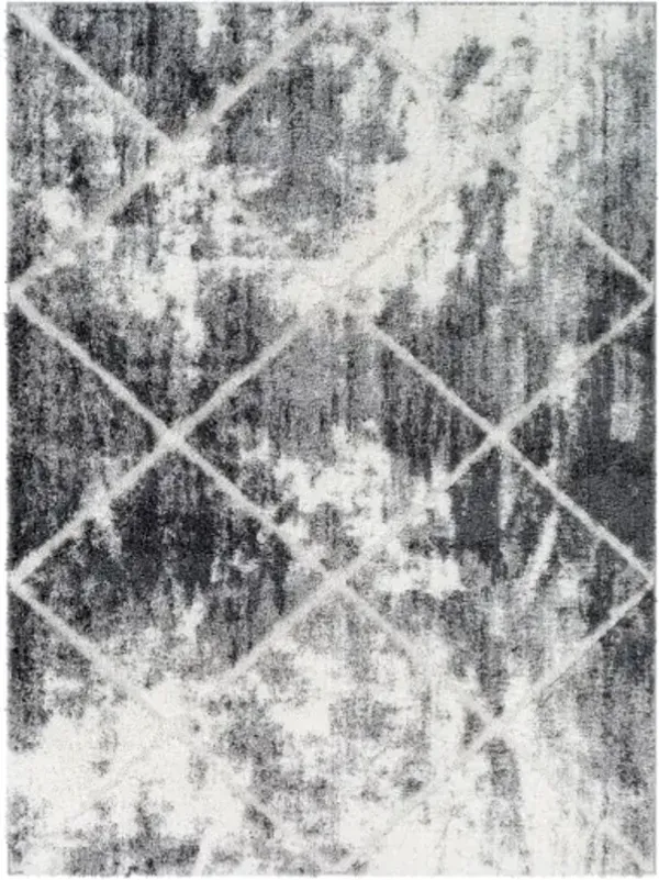 Elenor 5'3" x 7'3" Rug