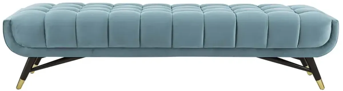 Adept Performance Velvet Bench