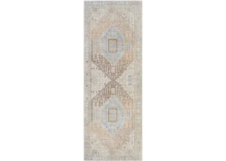 Alanya ALY-2306 2'7" x 7'3" Rug