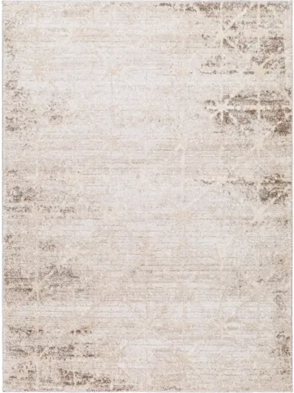 Andorra Plus ARP-2306 7'10" x 10' Machine Woven Rug