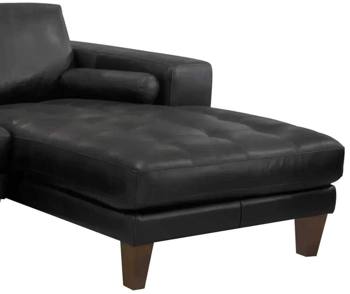 Wynne Contemporary Sectional