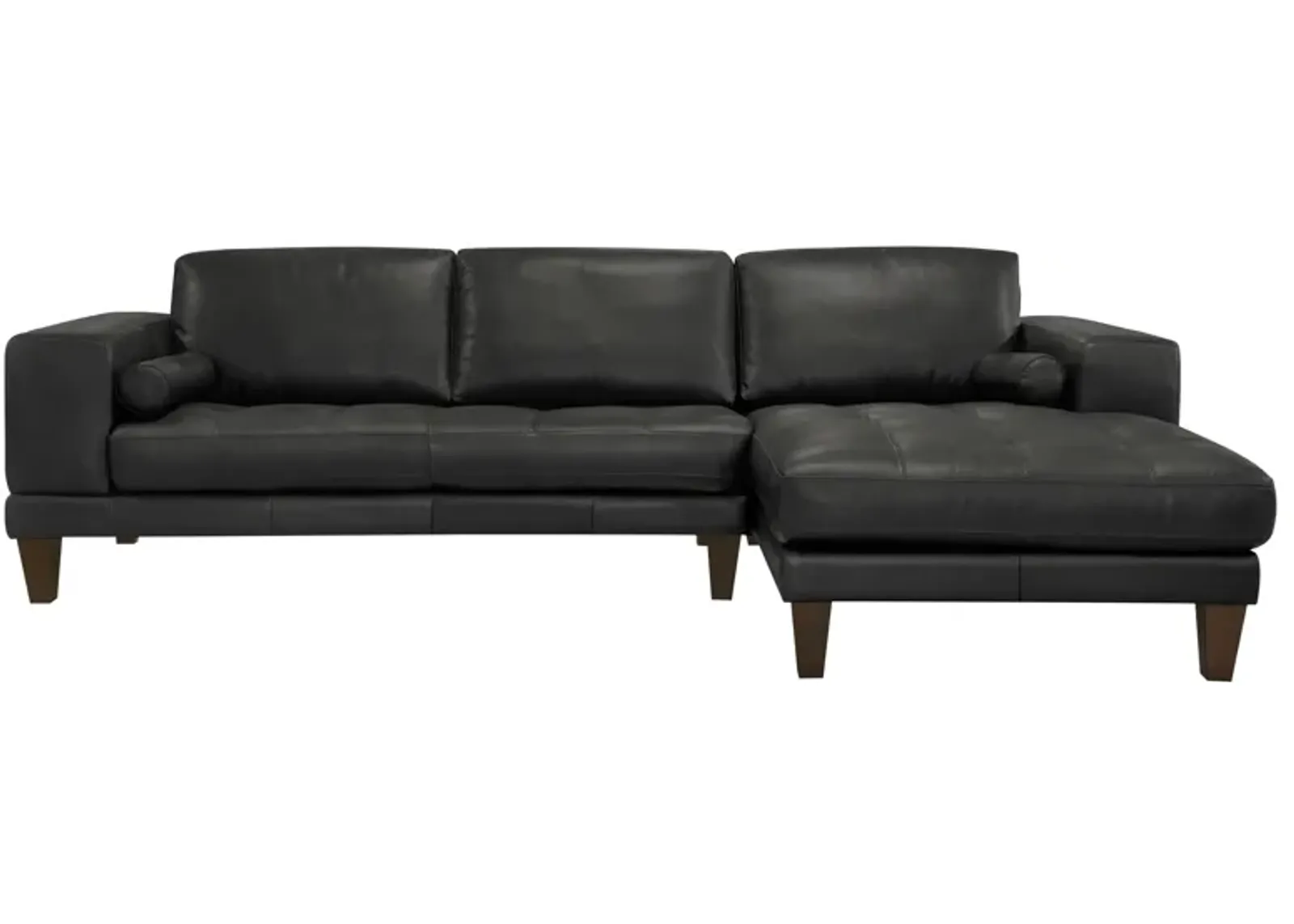 Wynne Contemporary Sectional