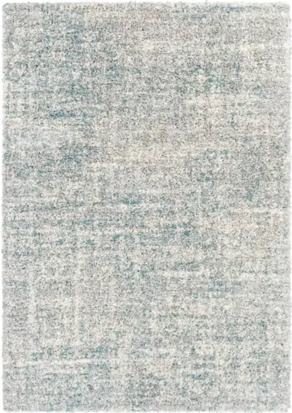 Eskimo Shag 5'3" x 7' Rug