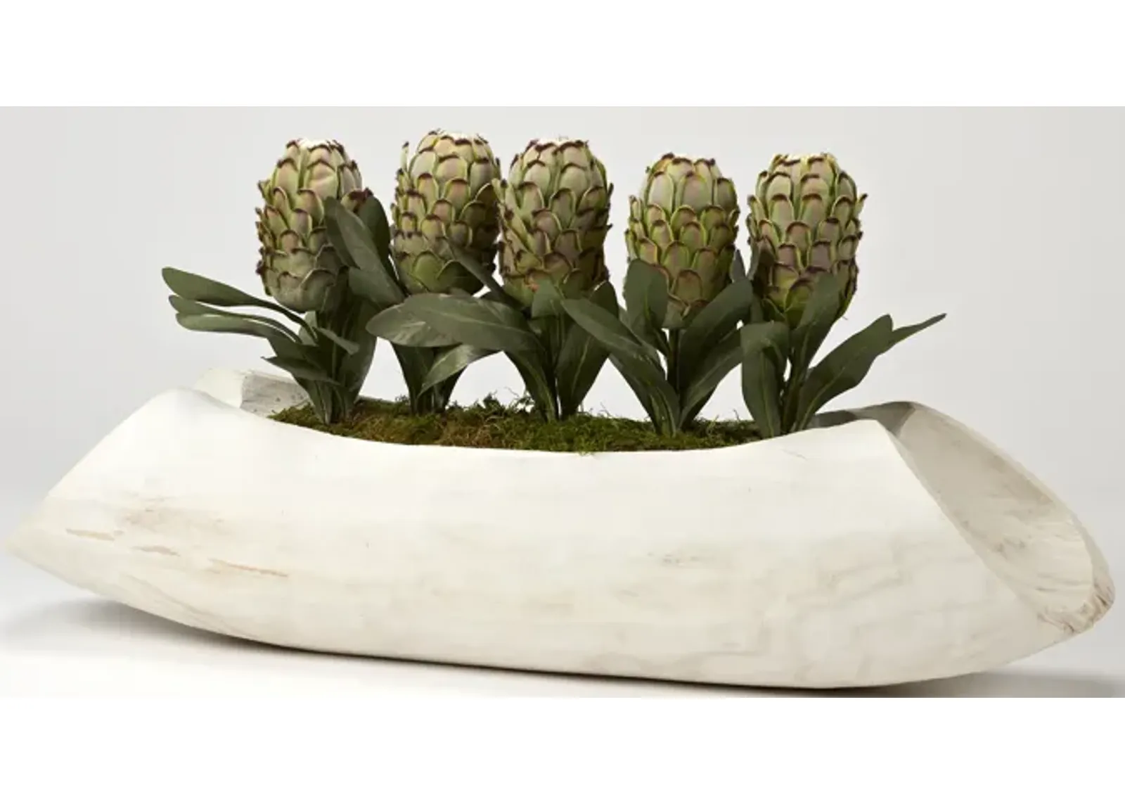 Green Proteas in White Wash Wooden Log