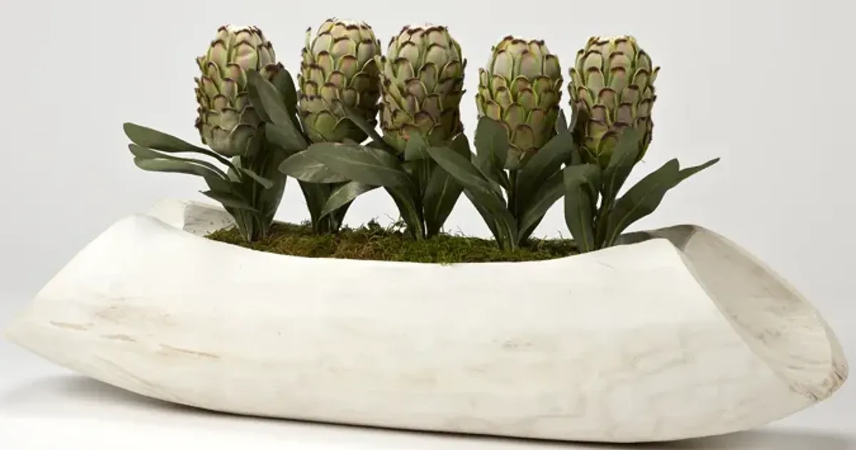 Green Proteas in White Wash Wooden Log