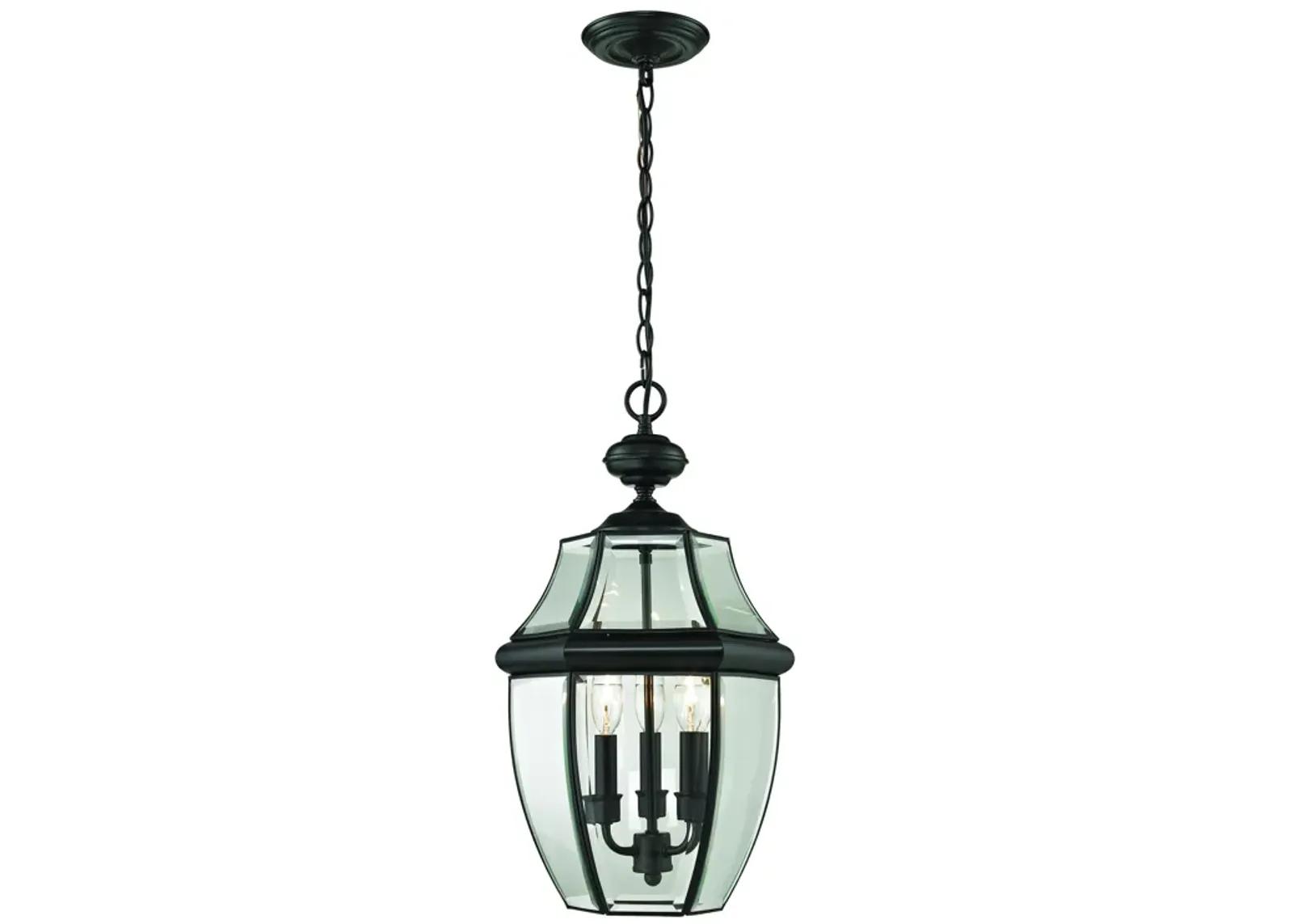 Ashford 12" Wide 3-Light Outdoor Pendant - Black