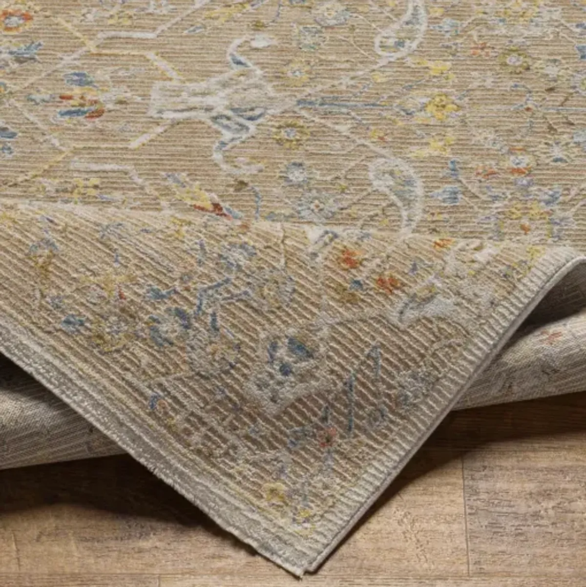 Reina REN-2300 2'7" x 7'3" Rug