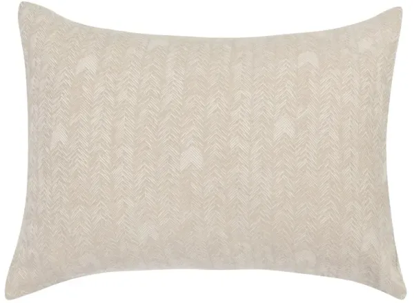 Lana 100% Cotton Embroidered Natural Standard Sham 
