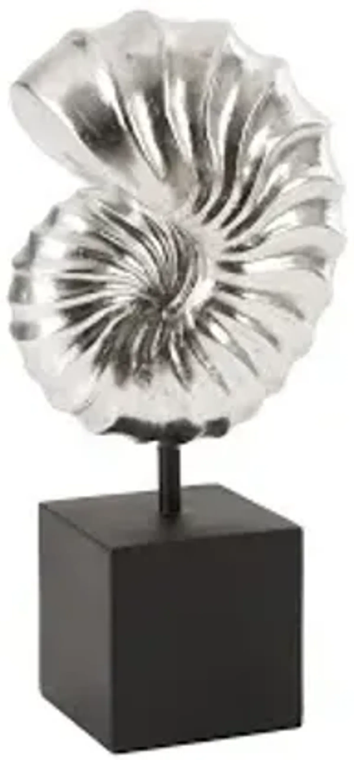 nautilus shell on base, silver leaf