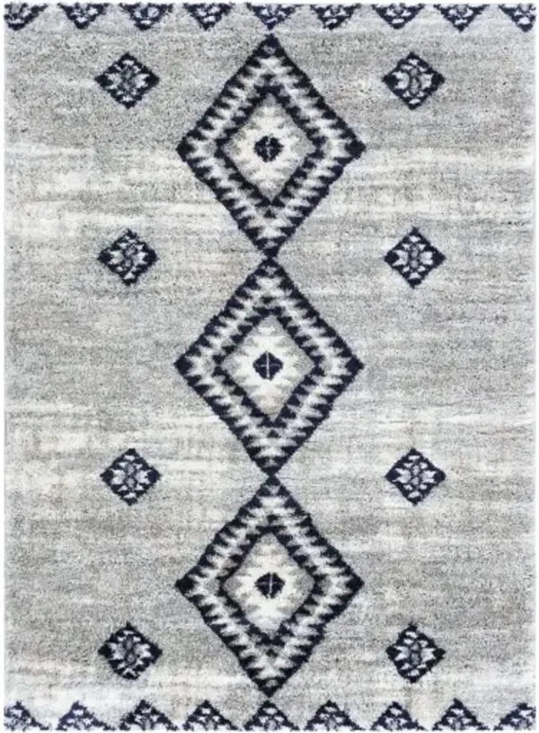 Aliyah shag 6'7" x 9' Rug