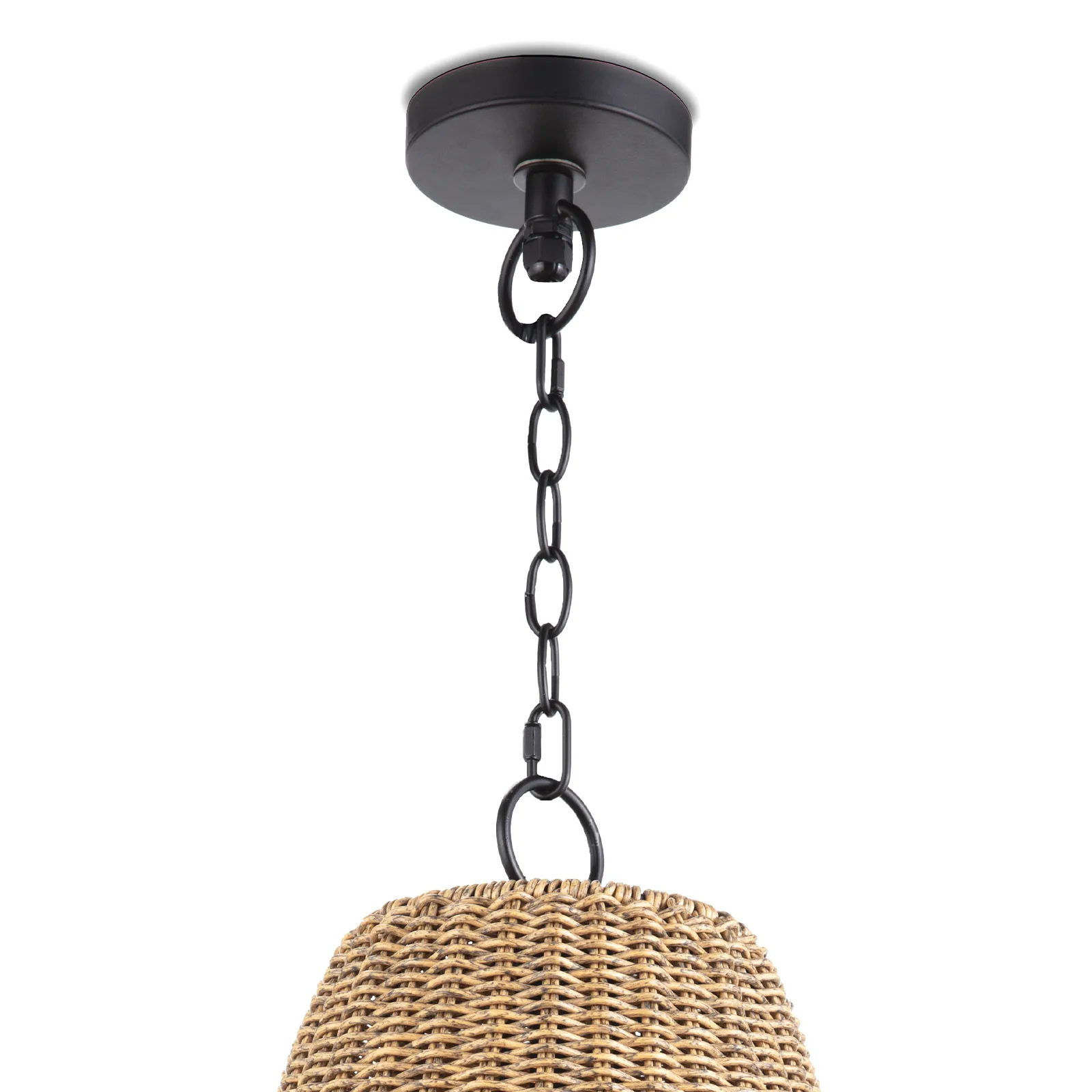 Coastal Living Small Summer Outdoor Pendant