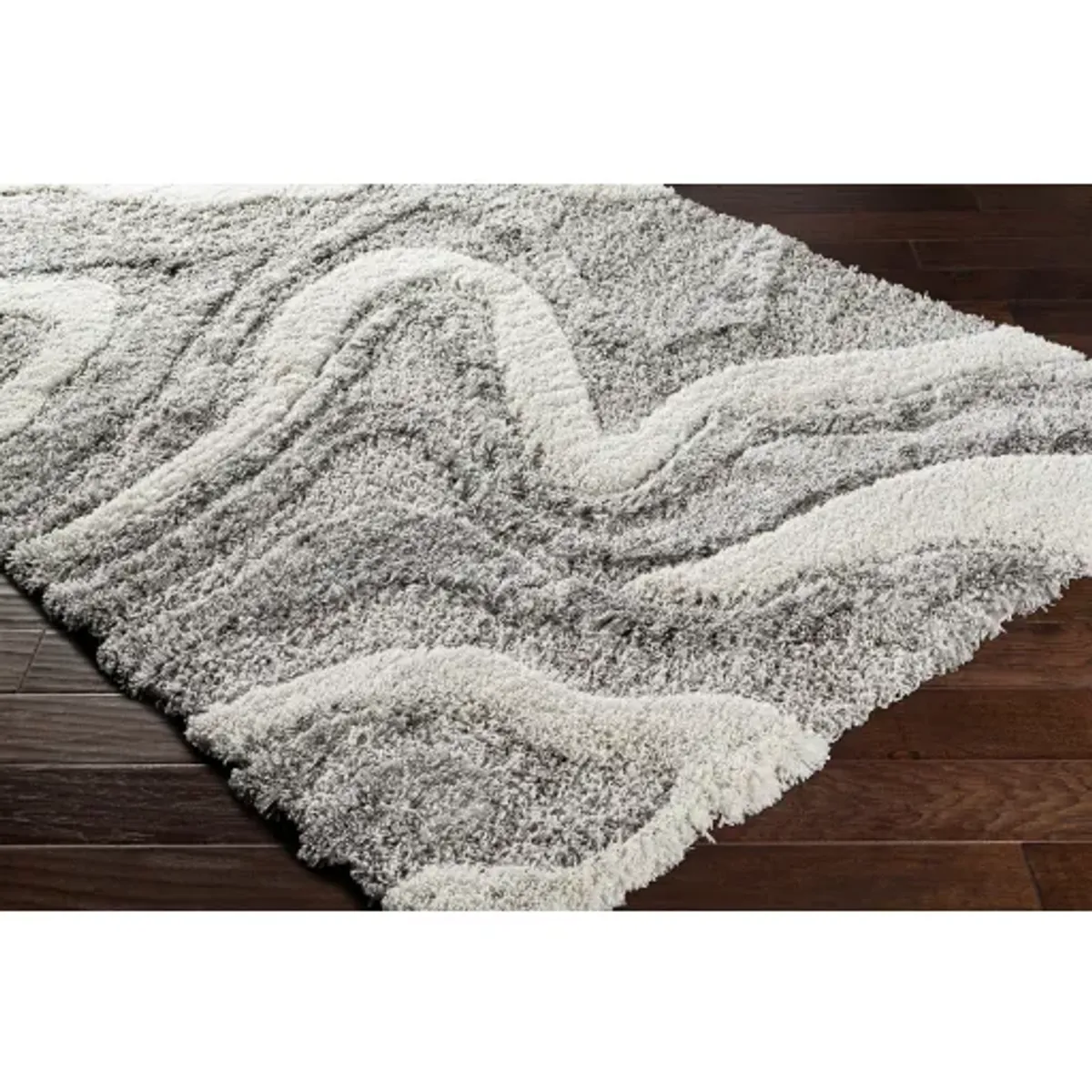 Alta shag 2' x 3' Rug